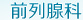 前列腺
